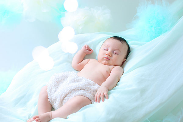 わかりやすいセットプラン