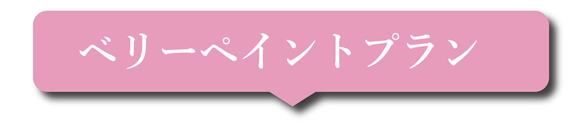 ベリーペイントプラン