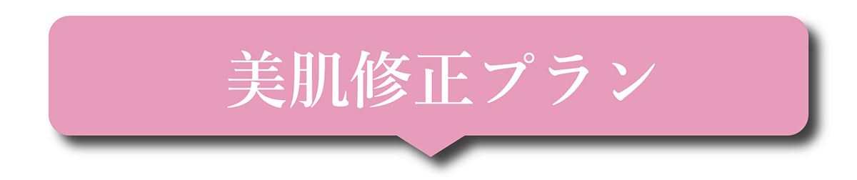 美肌プラン