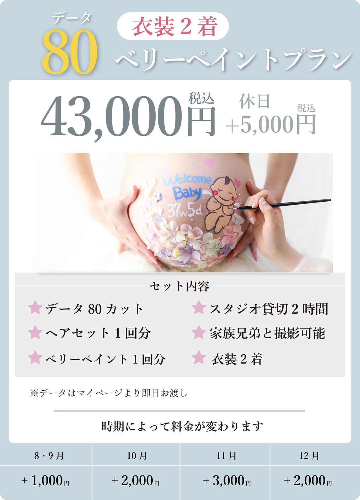 データ80ベリーペイントプラン