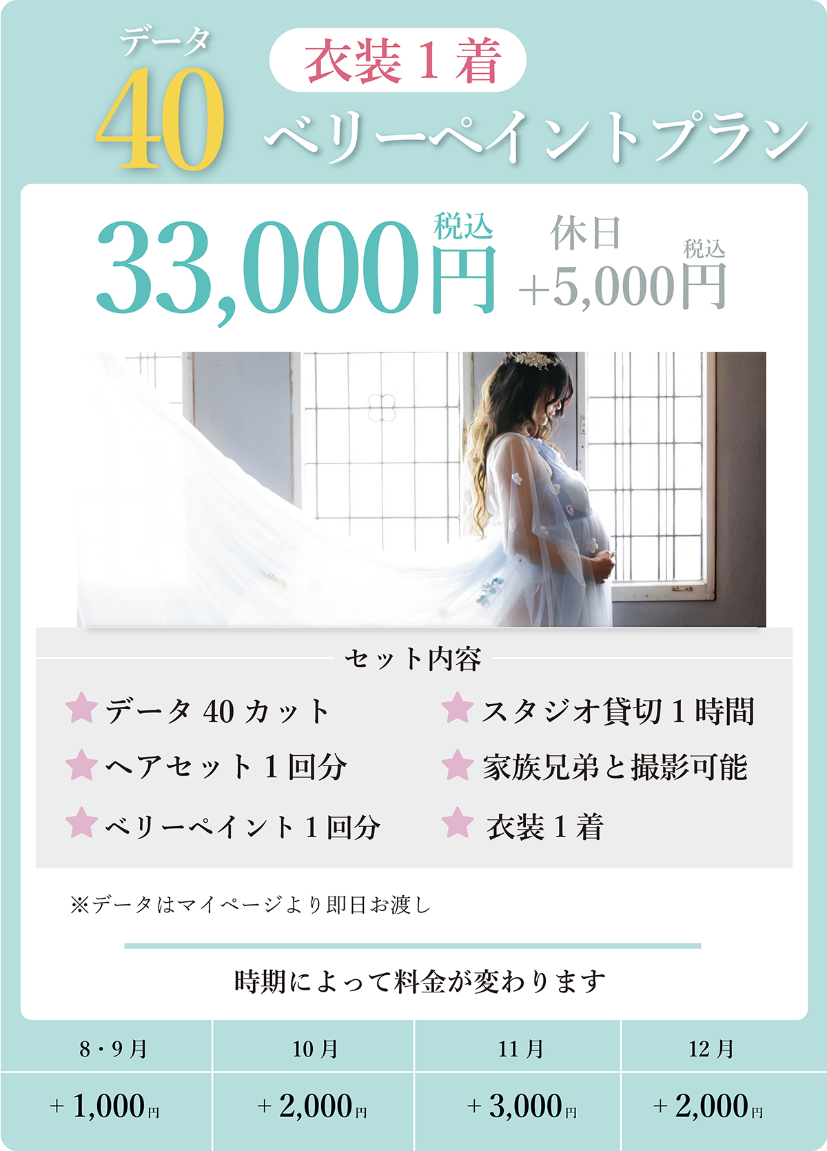 データ40ベリーペイントプラン